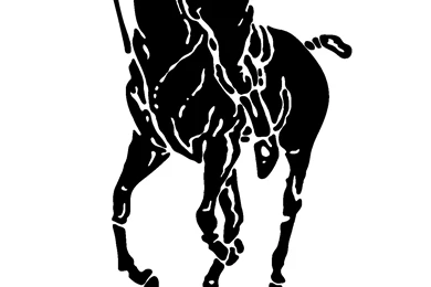 Polo Logo Wallpapers   Wallpapers Zone