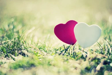 1760) Love Full HD Wallpapers   WalOps.com