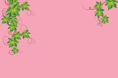 Alpha Kappa Alpha Wallpapers