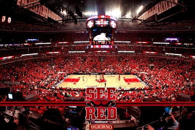 Chicago Bulls Wallpapers Picture A2Z » WALLPAPERUN.COM