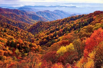 Best Time To See Smoky Mountain Fall Colors