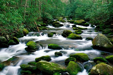 Free Roaring Fork River Great Smoky Mountains Tennessee Wallpapers ...