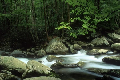 Little Tennessee National Park Great Smoky Mountains Wallpapers ...