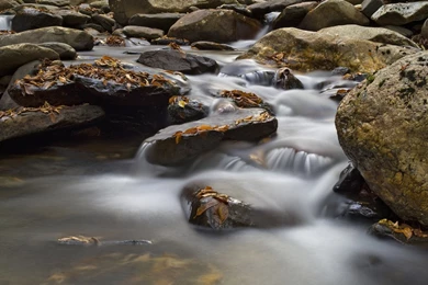Walker Camp Prong Great Smoky Mountains National Park Wallpapers ...