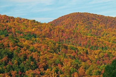 Fantastic Fall Season In The Great Smoky Mountains [38 PICS]