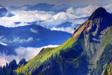 Mountain Peak Above The Clouds   Typta.com