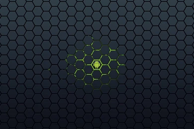 Android Bee Wallpapers