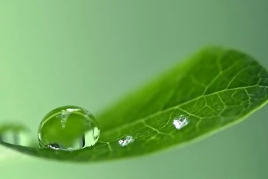 29375 Coffee And Cupcakes 1920x1080 Photography Wallpapers ...