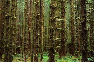 A New Dedicate Collection Of Free Dual Monitor Backgrounds