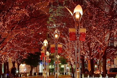 Animated Christmas Wallpapers   Christmas Day 25