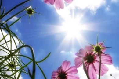 Beautiful Wallpapers For Iphone