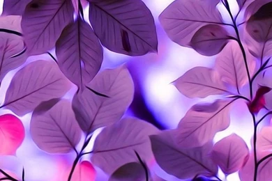 Beautiful Snowflakes. Merry Christmas! Snowing iPhone Wallpapers ...