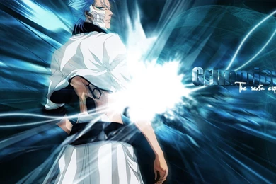 Grimmjow Wallpapers   Wallpapers Cave