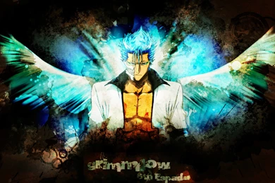 Grimmjow   Bleach Anime Wallpapers (6905896)   Fanpop