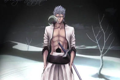 Bleach Anime Wallpapers