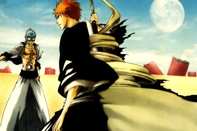 Grimmjow And Ichigo   Bleach Anime Wallpapers (20094265)   Fanpop