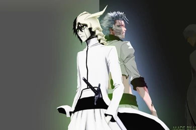Grimmjow And Ulquiorra   Bleach Anime Wallpapers (17500664)   Fanpop