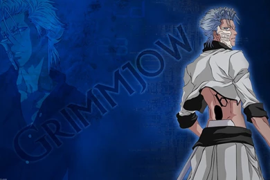 Grimmjow (Bleach) Wallpapers 1366x768 ~ For Miki By DaRi881 On ...
