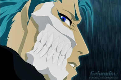 Grimmjow Jeagerjaques/