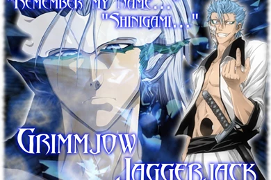 Grimmjow Jaggerjack Wallpapers   Wallpapers Zone