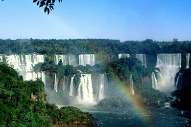 Amazon Rainforest Facts, Animals & Beautiful Green Jungle