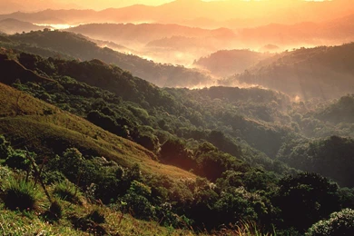 Amazon Rainforest, Brazil & South America For Nokia Wallpapers 8 ...