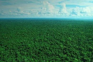 Bing Wallpapers Archive