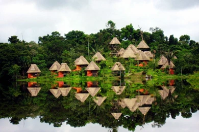 Amazing Amazon Forest 1024x768 Wallpapers,Amazon Forest 1024x768 ...