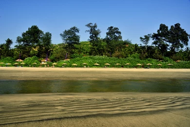 Nice View Of The Ashwem Wallpapers And Images   Wallpapers ...