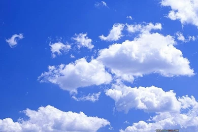 White Cloud & Blue Sky   Wallcoo.net