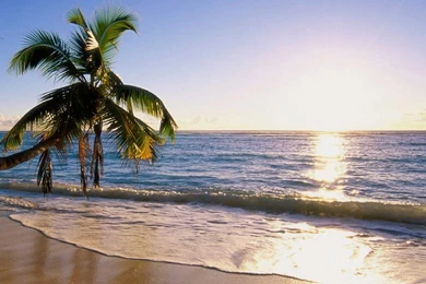 Nice View Android Wallpapers 960x800 Hd Phone Screensavers