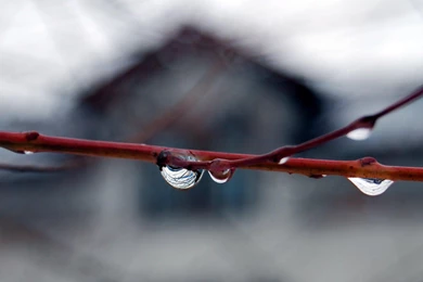 Nice View After Winter... >> HD Wallpaper, Get It Now!