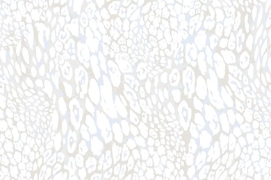 CWV Vinyl Wallcovering Glamour Puss White M0821   Wallpapers Warehouse