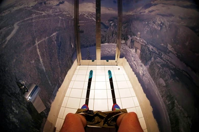 The Walls Of A Toilet Are Decorated With A Mountain Panorama ...