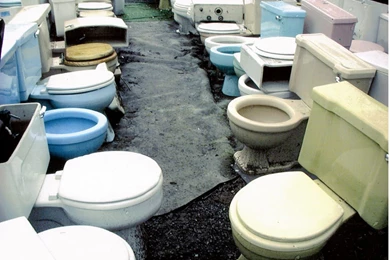 Funny Toilet Photos   Wallpapers HD Wide
