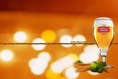 SpbLand.ru / Обои / Wallpapers / Торговые марки / Пиво / Stella Artois