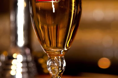 Pouring The Perfect Pint With Stella Artois   FLAVOURMAG