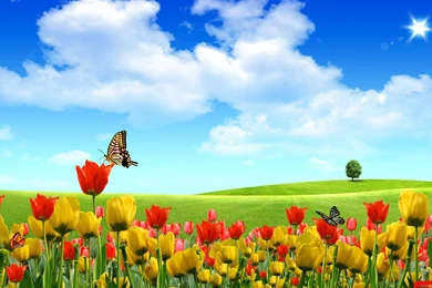 Kingofwallpapers.com 3D Nature Wallpapers Page 1