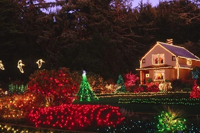 Free Download Images Of Nature   Widescreen HD Wallpapers