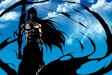 Bleach Wallpapers Image Picture