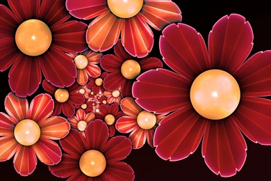 Flower Computer Wallpapers, Desktop Backgrounds
