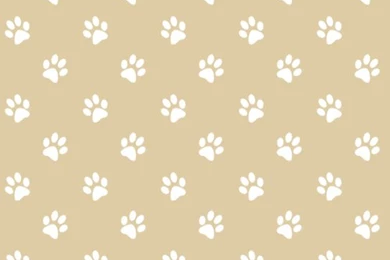 Paw print seamless pattern03