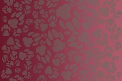 Redrawn Paw Print Backgrounds By Nojjesz On DeviantArt