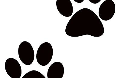 18 Best Photos Of Paw Print No Backgrounds   Puppy Paw Print, Cat ...