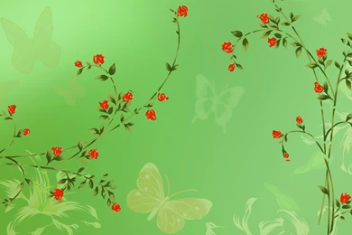 Cartoon Flowers Wallpapers, Green Backgrounds, Pictures And Images