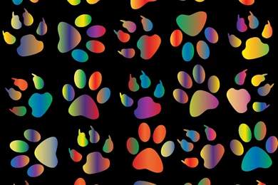 Clipart   Colorful Paw Prints Pattern Backgrounds Reinvigorated 4 ...