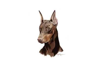 Doberman Pinscher Wallpapers HD Download