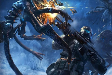 Desktop Wallpapers · Gallery · Games · Far Cry 2   Crysis Warhead ...