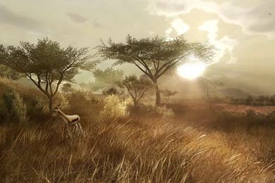 Far cry patapon 2 wallpaper creator 44 46519 Desktop Wallpapers ...