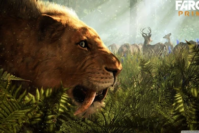 Far Cry Primal 5 Wallpapers 1920×1080